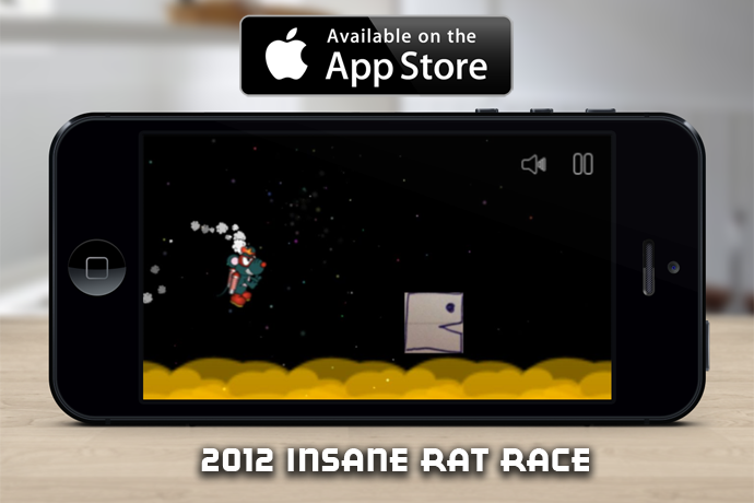 2012 Insane Rat Race